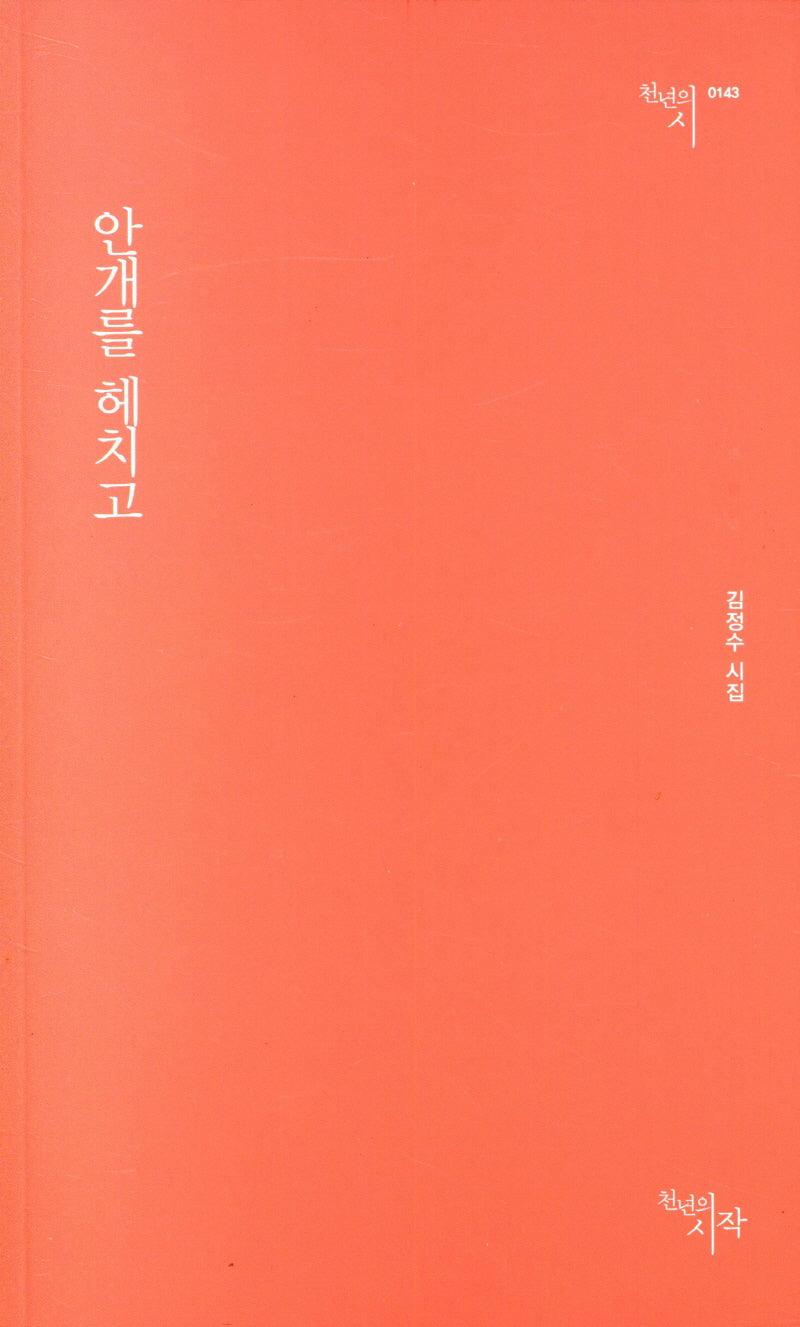 안개를 헤치고(천년의시 143)