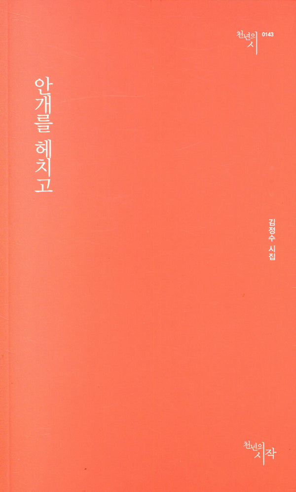 안개를 헤치고(천년의시 143)