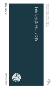 당신이라는 별자리 하나(시작시인선 460)