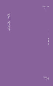 산이 자라다(천년의 시 164)