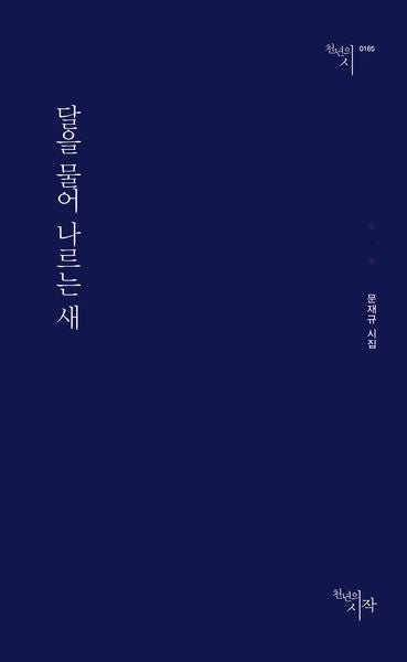 달을 물어 나르는 새(천년의시 165)