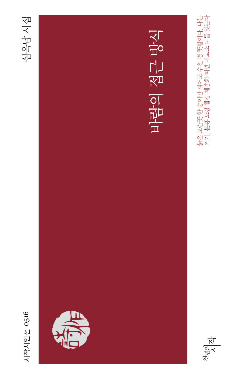 바람의 접근 방식(시작시인선 516)