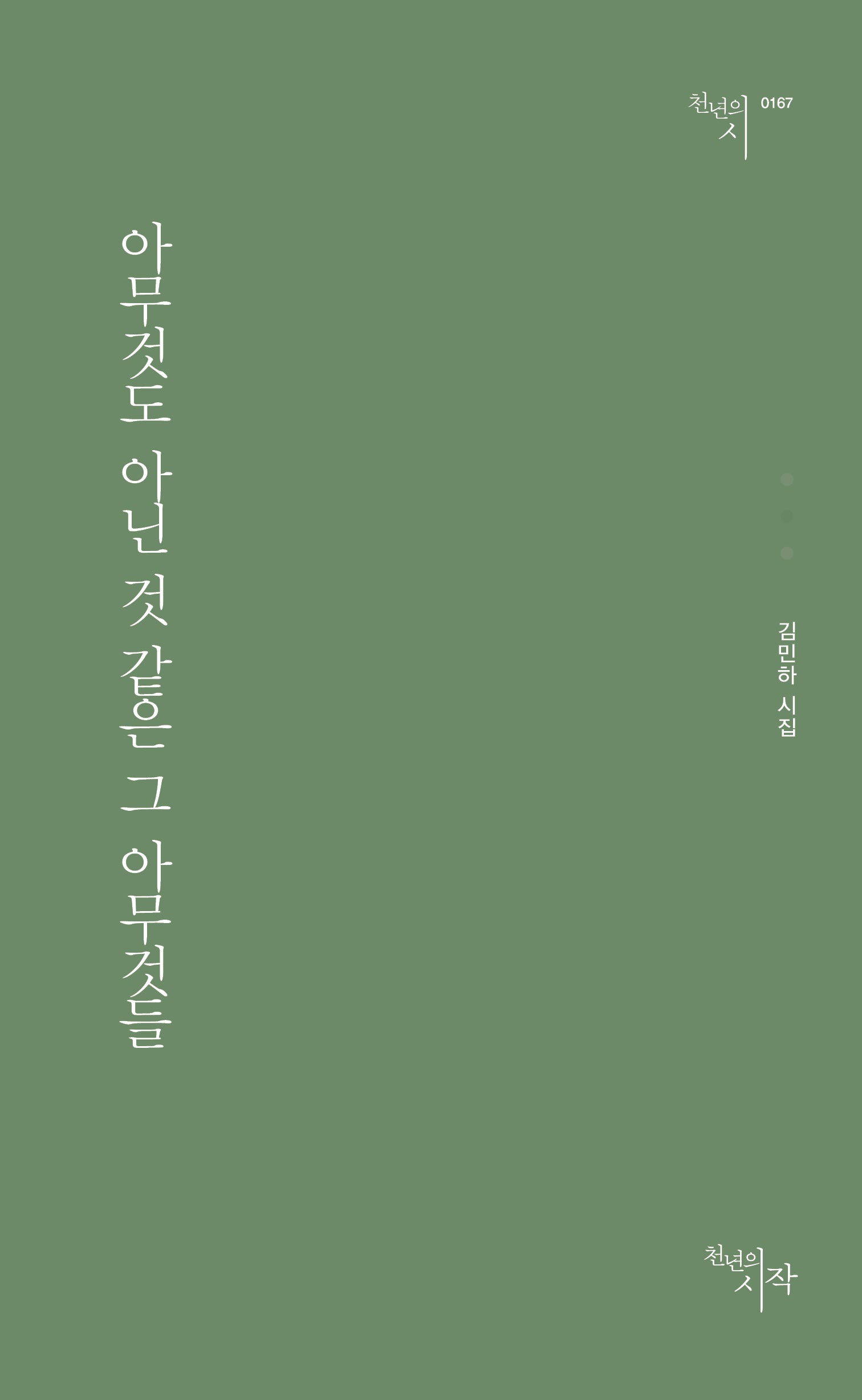 아무것도 아닌 것 같은 그 아무것들(천년의시 167)