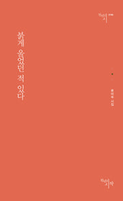 붉게 울었던 적 있다(시작시인선 168)