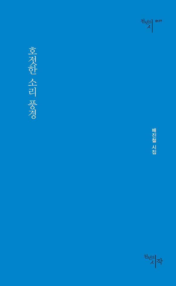 호젓한 소리 풍경(천년의시인선 177)