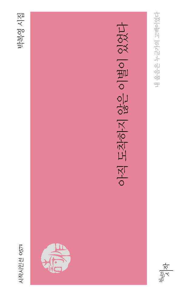 아직 도착하지 않은 이별이 있었다(시작시인선 571)