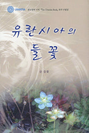 유란시아의 들꽃(에세이 작가 총서 338)