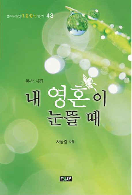 내 영혼이 눈뜰 때(현대시인100인총서 43)