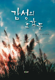 감성의 조각들