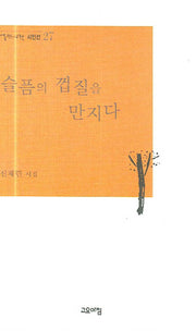 슬픔의 껍질을 만지다(열린시학 시인선 27)