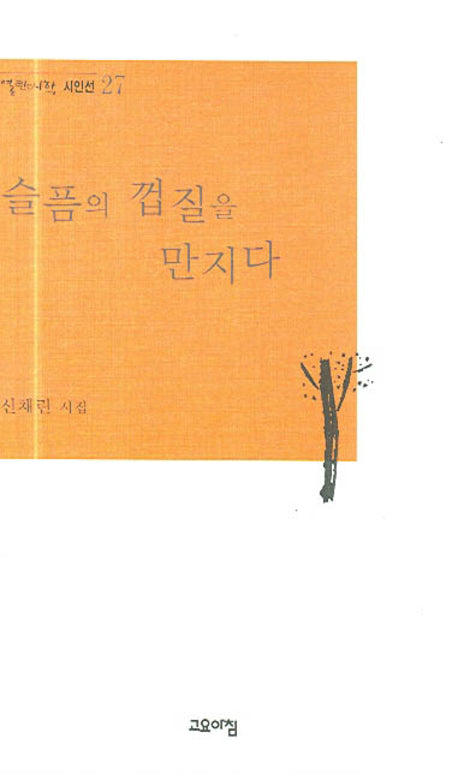 슬픔의 껍질을 만지다(열린시학 시인선 27)
