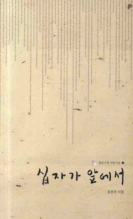 십자가 앞에서(열린시학 신앙시선 4)