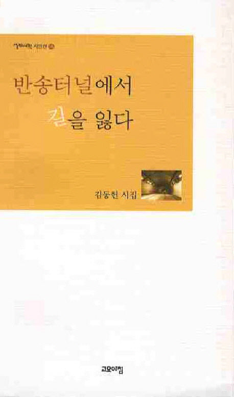 반송터널에서 길을 잃다(열린시학 시인선 58)