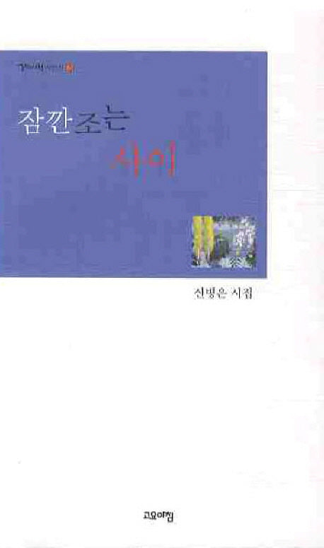 잠깐조는 사이(열린시학 시인선 61)