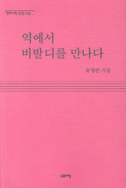 역에서 비발디를 만나다(열린시학 정형시집 96)