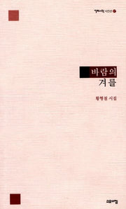 바람의 겨를(열린시학 시인선 87)