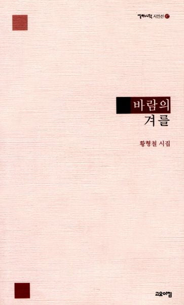 바람의 겨를(열린시학 시인선 87)