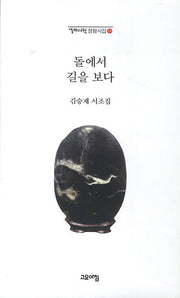돌에서 길을 보다(열린시학 정형시집 107)