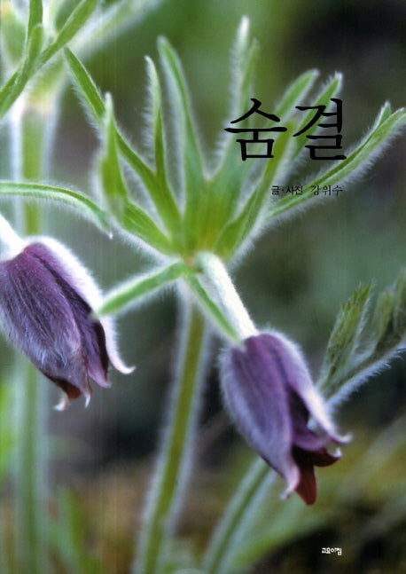 숨결
