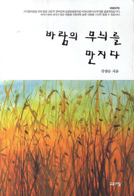 바람의 무늬를 만지다