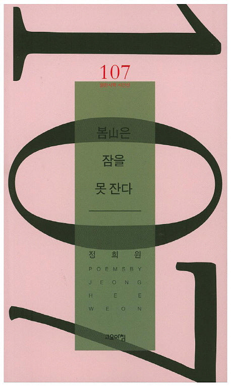 봄산은 잠을 못 잔다(열린시학 시인선 107)