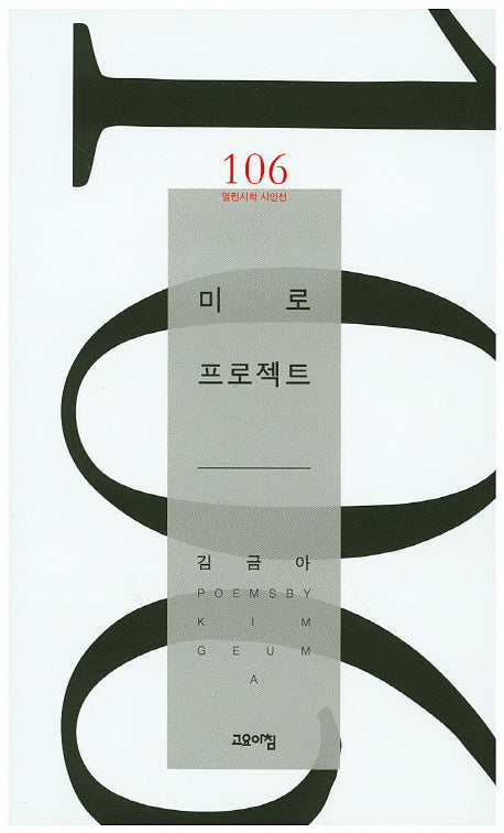 미로 프로젝트(열린시학 시인선 106)