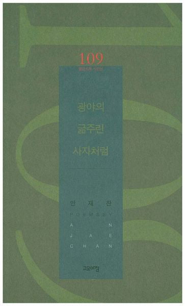 광야의 굶주린 사자처럼(열린시학 시인선 109)