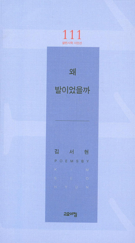 왜 발이었을까(열린시학 시인선 111)