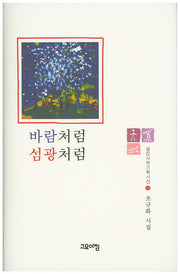 바람처럼 섬광처럼(열린시학기획시선 85)(양장본 HardCover)