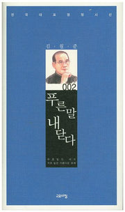 푸른 말 내 닫다(한국대교정형시선 2)(양장본 Hardcover)