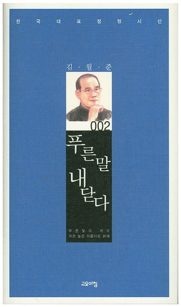 푸른 말 내 닫다(한국대교정형시선 2)(양장본 Hardcover)