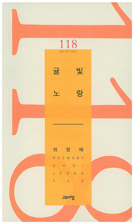 귤빛노랑(열린시학 시인선 118)