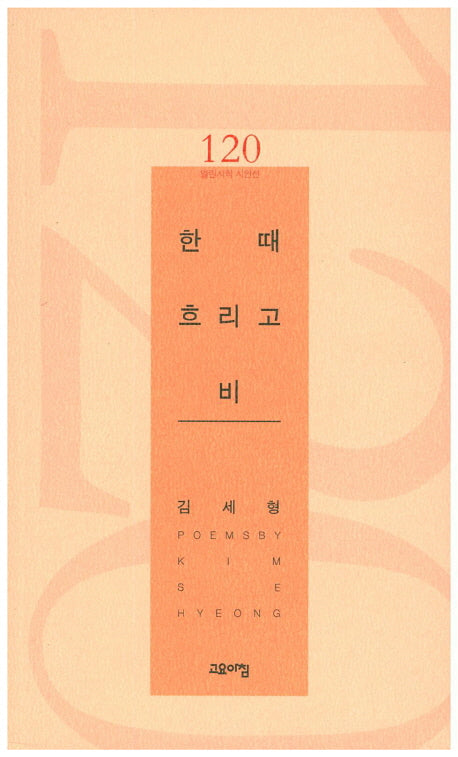 한 때 흐리고 비(열린시학 시인선 120)