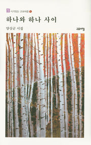 하나와 하나 사이(시가있는 고요아침 46)(양장본 HardCover)