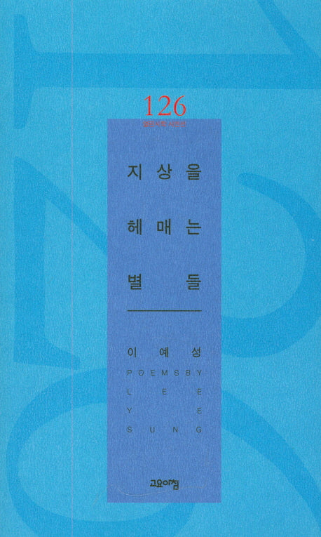지상을 헤매는 별들(열린시학 시인선 126)