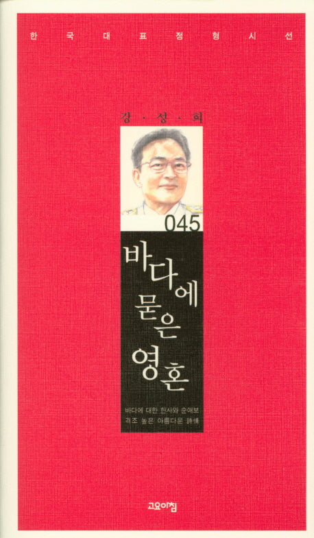 바다에 묻은 영혼(한국대표 정형시집 45)(양장본 Hardcover)