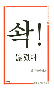 솩! 뚫렸다 참 아름다워요(열린시학 정형시집 133)(양장본 Hardcover)