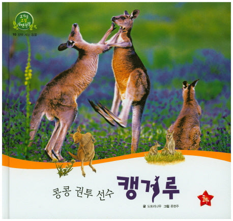 콩콩 권투 선수 캥거루(호기심 오감 자연관찰 10)(양장본 HardCover)