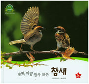 짹짹 아침 인사 하는 참새(호기심 오감 자연관찰 22)(양장본 HardCover)