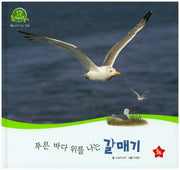 푸른 바다 위를 나는 갈매기(호기심 오감 자연관찰 24)(양장본 HardCover)