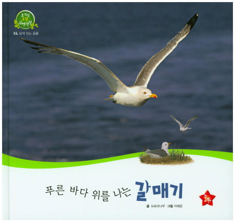 푸른 바다 위를 나는 갈매기(호기심 오감 자연관찰 24)(양장본 HardCover)