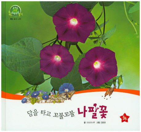 담을 타고 꼬불꼬불 나팔꽃(호기심 오감 자연관찰 65)(양장본 HardCover)