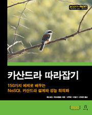 카산드라 따라잡기(acorn+PACKT)(Paperback)