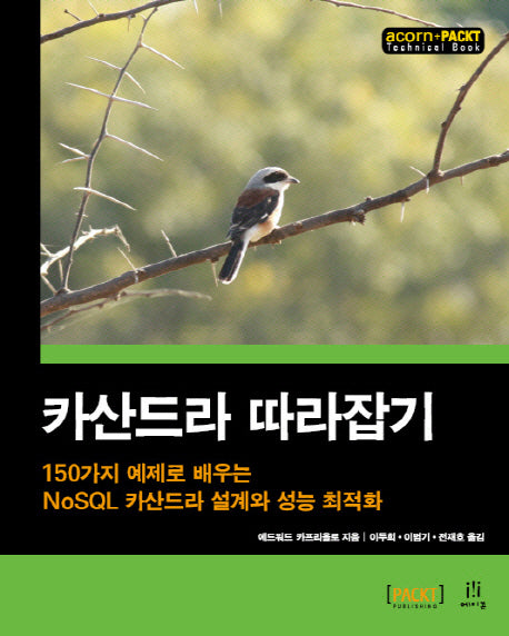 카산드라 따라잡기(acorn+PACKT)(Paperback)