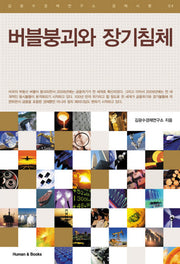버블붕괴와 장기침체(김광수경제연구소 경제시평 4)