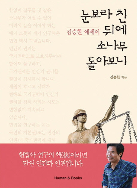 눈보라 친 뒤에 소나무 돌아보니