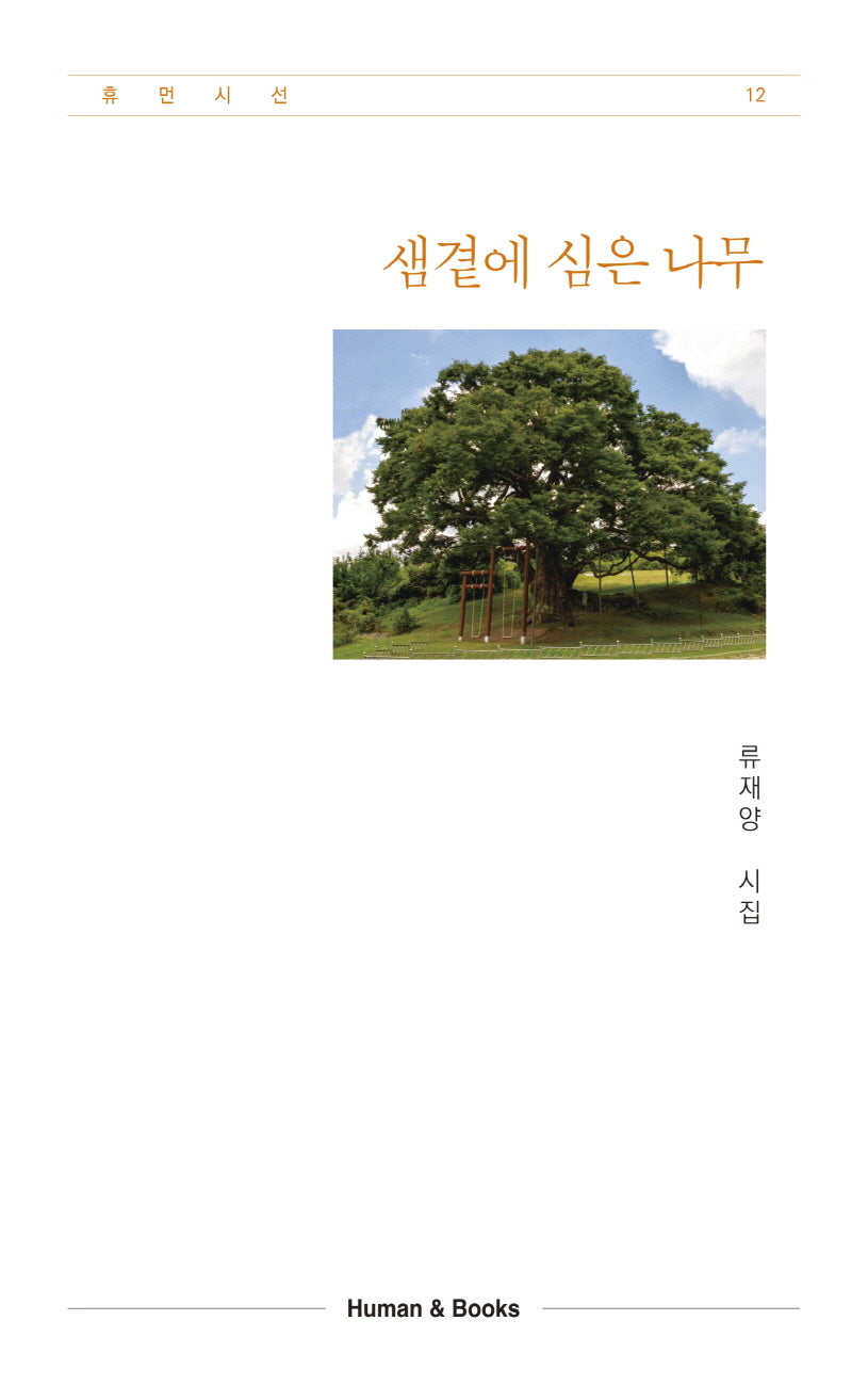 샘곁에 심은 나무