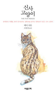 신사 고양이