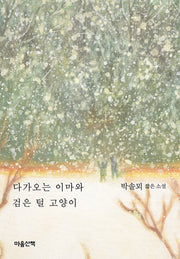다가오는 이마와 검은 털 고양이(양장본 Hardcover)