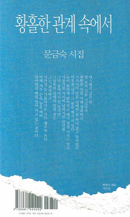 황홀한 관계 속에서(현대시 시인선 54)